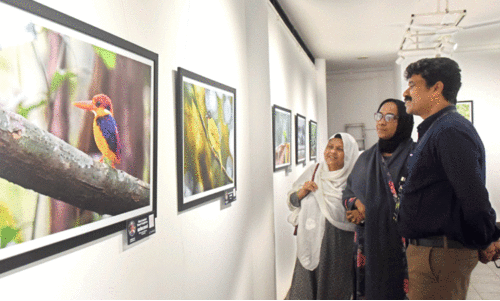 art gallery art gallery