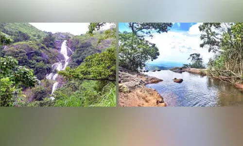 കോ​ട്ട​ത്താ​വ​ളം അ​രു​വി