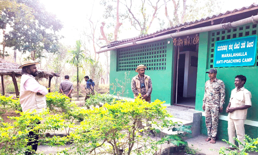 കര്ണാടക വനം മന്ത്രി ഈശ്വര് ഖണ്ഡ്രെ ബന്ദിപ്പൂരിൽ കര്ണാടക വനം മന്ത്രി ഈശ്വര് ഖണ്ഡ്രെ ബന്ദിപ്പൂരിൽ