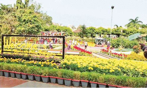 മലമ്പുഴ ഉദ്യാനത്തിലെ ഫ്ളവർഷോ മലമ്പുഴ ഉദ്യാനത്തിലെ ഫ്ളവർഷോ