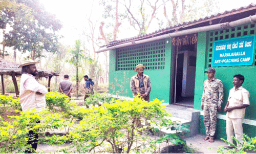 ക​ര്‍ണാ​ട​ക വ​നം മ​ന്ത്രി ഈ​ശ്വ​ര്‍ ഖ​ണ്ഡ്രെ ബ​ന്ദി​പ്പൂ​രി​ൽ