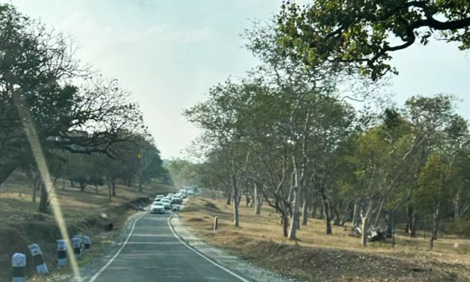 Masinagudi - Ooty trip