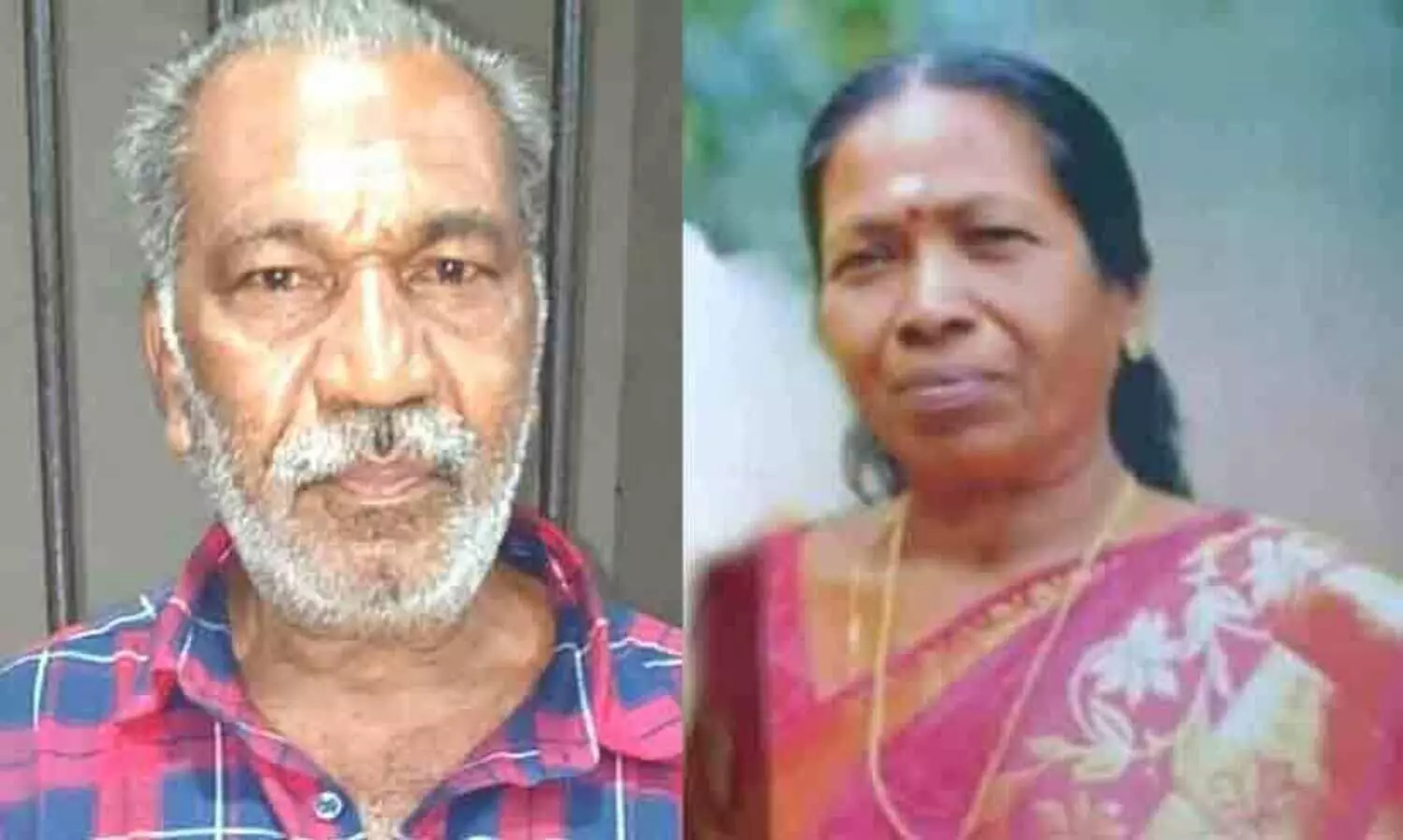 അങ്കമാലിയിൽ ഭാര്യയെ കൊലപ്പെടുത്തി ഒളിവിൽ പോയ പ്രതി പിടിയിൽ