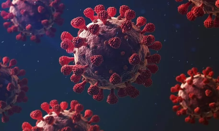 Corona virus Representative image Corona virus Representative image