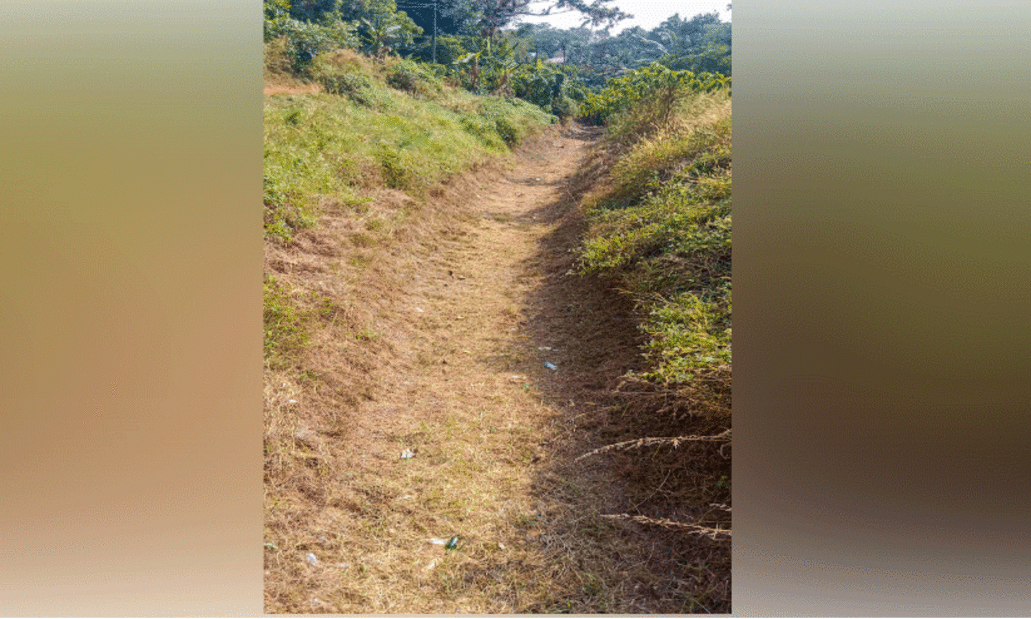 ഉപ കനാലുകള്‍ തുറന്നില്ല; കാര്‍ഷികമേഖല കരിഞ്ഞുണങ്ങുന്നു