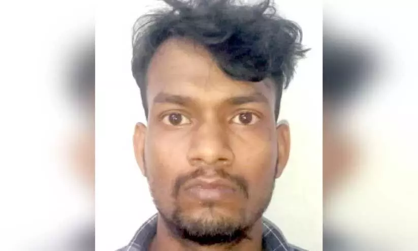 പിങ്കുപാലി പിങ്കുപാലി