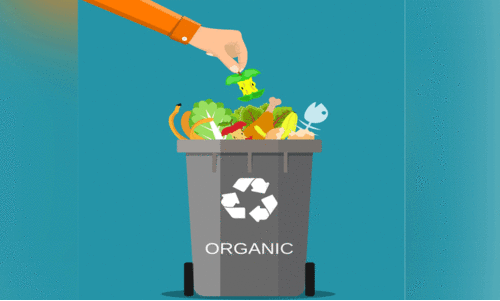 വീടുകളിൽനിന്ന് ​ജൈവമാലിന്യ ശേഖരണം നിർത്താൻ നഗരസഭ