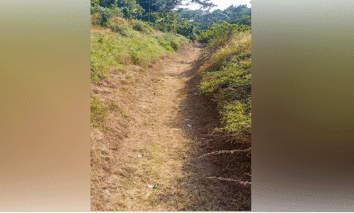 ഉപ കനാലുകള്‍ തുറന്നില്ല; കാര്‍ഷികമേഖല കരിഞ്ഞുണങ്ങുന്നു