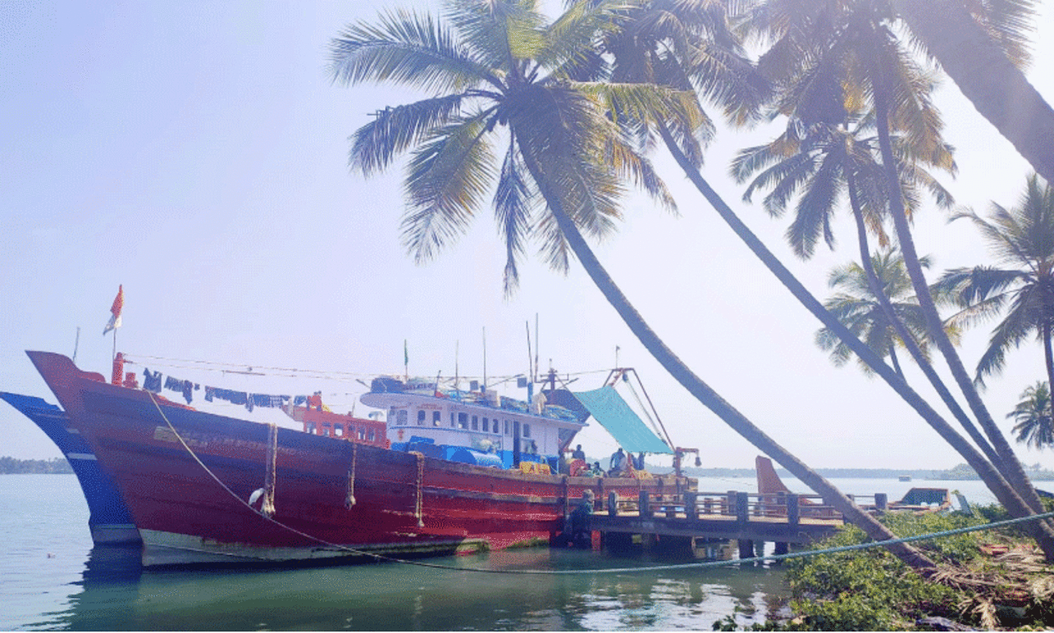 അനധികൃത മത്സ്യബന്ധനത്തിനെതിരെ ഫിഷറീസ് വകുപ്പ്; ആറു മാസത്തിനിടെ അരക്കോടി പിഴ