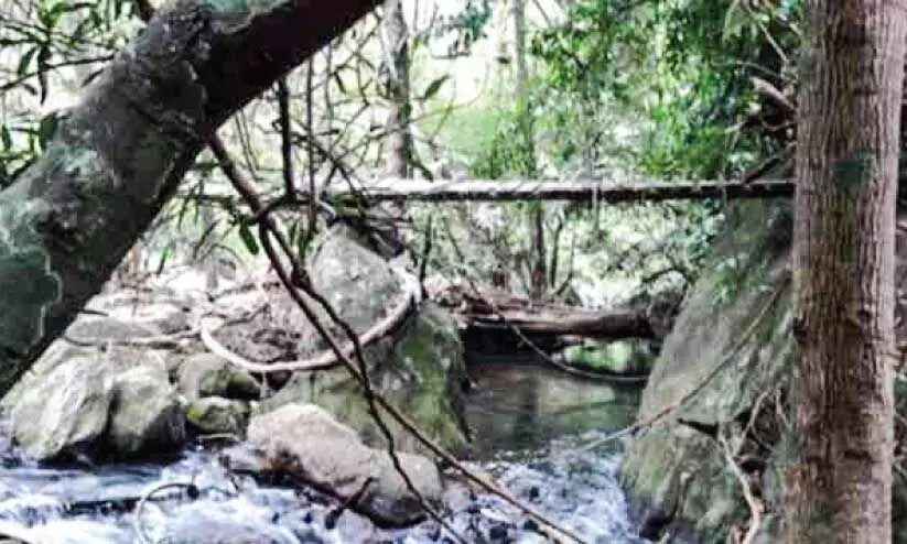 walking bridge walking bridge