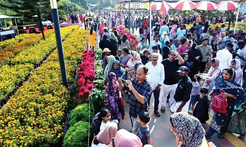 flower fest flower fest