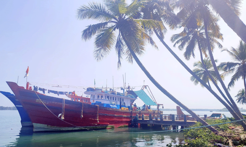 അനധികൃത മത്സ്യബന്ധനത്തിനെതിരെ ഫിഷറീസ് വകുപ്പ്; ആറു മാസത്തിനിടെ അരക്കോടി പിഴ അനധികൃത മത്സ്യബന്ധനത്തിനെതിരെ ഫിഷറീസ് വകുപ്പ്; ആറു മാസത്തിനിടെ അരക്കോടി പിഴ