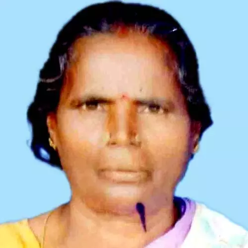 ചിന്നക്കുട്ടി