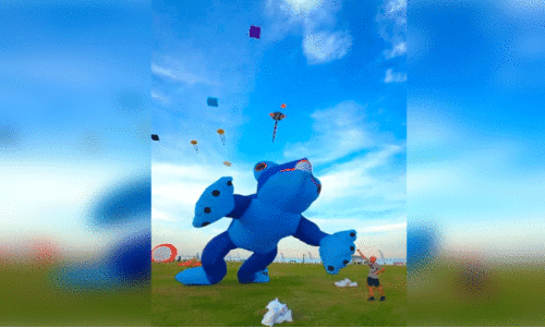 ഓ​ൾ​ഡ് ദോ​ഹ പോ​ർ​ട്ടി​ൽ  ആ​രം​ഭി​ച്ച  കൈ​റ്റ് ഫെ​സ്റ്റി​ൽ നി​ന്ന്