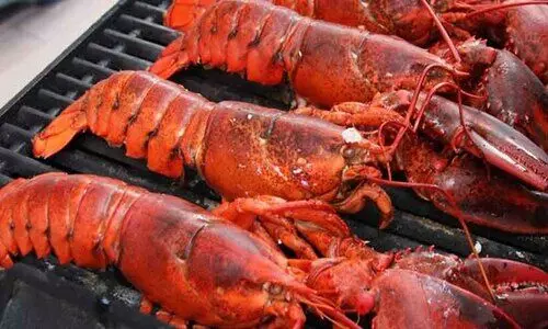 ചെ​മ്മീ​ൻ    പി​ടി​ക്കു​ന്ന​തി​ന്    നി​രോ​ധ​നം