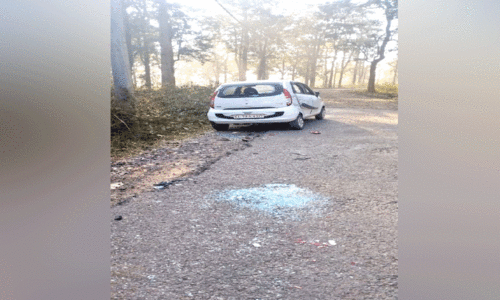 കാട്ടാനയുടെ ആക്രമണം; രണ്ട് കാർ യാത്രികർക്ക് പരിക്ക്