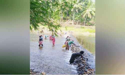 ജലസുരക്ഷ പ്രവർത്തനങ്ങൾക്ക് തുടക്കമിട്ട് കേളകം പഞ്ചായത്ത്