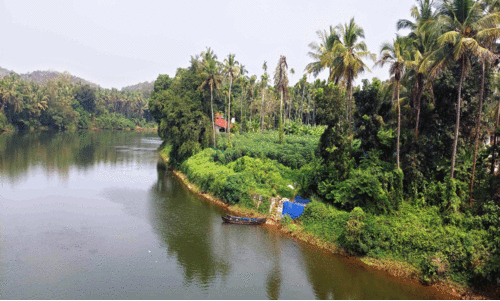 തേർളായി ദ്വീപ്, പുഴ കവർന്ന് തീരുന്നു