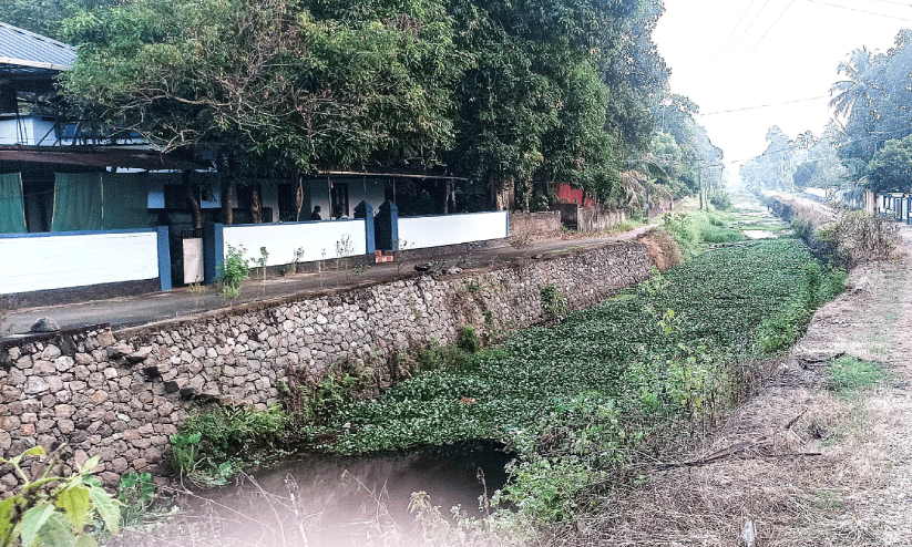 നീരൊഴുക്കില്ല;  പുത്തൻതോട് നാശത്തിന്‍റെ വക്കിൽ