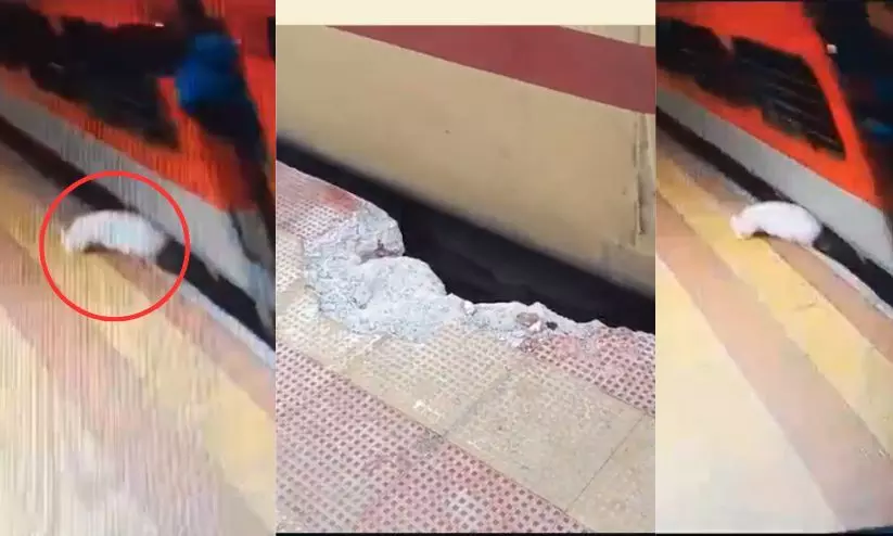 ഓടുന്ന ട്രെയിനിൽ കയറാൻ ശ്രമിക്കുന്നതിനിടെ പാളത്തിലേക്ക് വഴുതി വീണ് യുവാവ്; രക്ഷപ്പെടുത്തിയത് പ്ലാറ്റ്ഫോം തകർത്ത് ഓടുന്ന ട്രെയിനിൽ കയറാൻ ശ്രമിക്കുന്നതിനിടെ പാളത്തിലേക്ക് വഴുതി വീണ് യുവാവ്; രക്ഷപ്പെടുത്തിയത് പ്ലാറ്റ്ഫോം തകർത്ത്