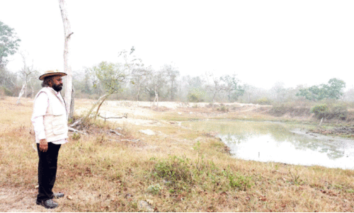 ബന്ദിപ്പൂരിലെ തടയണകളിൽ വേനലിൽ വെള്ളമെത്തിക്കാൻ നടപടി