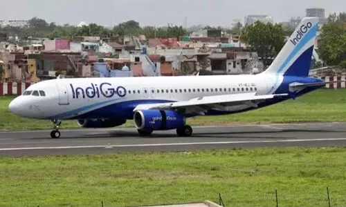 indigo flight