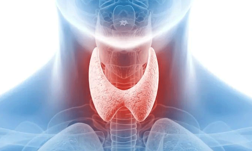 തൈറോയ്ഡ് അപകടകരമാകുമ്പോൾ തൈറോയ്ഡ് അപകടകരമാകുമ്പോൾ