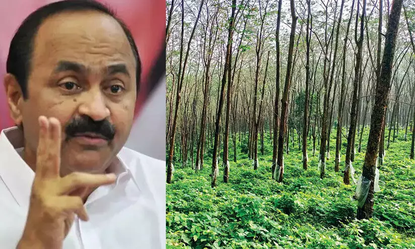 റബ്ബര് വില സ്ഥിരത ഫണ്ട് 300 രൂപയാക്കണമെന്ന് വി.ഡി സതീശൻ റബ്ബര് വില സ്ഥിരത ഫണ്ട് 300 രൂപയാക്കണമെന്ന് വി.ഡി സതീശൻ