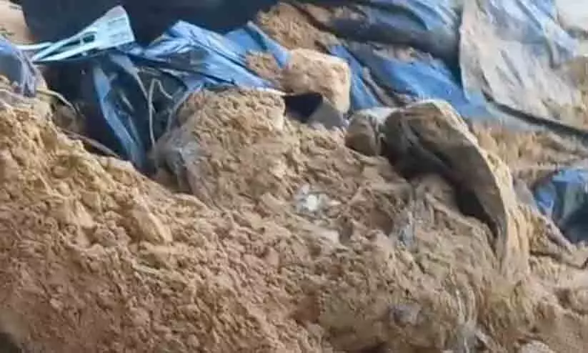 കണ്ണുകൾ മൂടിക്കെട്ടി, കൈകൾ ബന്ധിച്ച 30 മൃതദേഹങ്ങൾ ഗസ്സയിലെ സ്കൂൾ മുറ്റത്ത് ഉപേക്ഷിച്ച നിലയിൽ -VIDEO കണ്ണുകൾ മൂടിക്കെട്ടി, കൈകൾ ബന്ധിച്ച 30 മൃതദേഹങ്ങൾ ഗസ്സയിലെ സ്കൂൾ മുറ്റത്ത് ഉപേക്ഷിച്ച നിലയിൽ -VIDEO