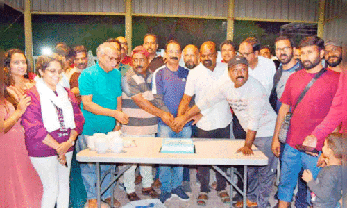 christmas, new year celebration