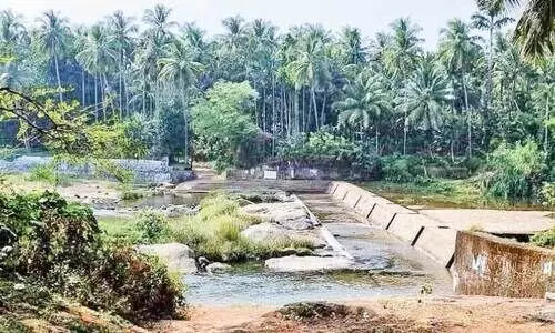 പോ​ത്തൊ​ഴി​ക​ട​വ് തടയണ