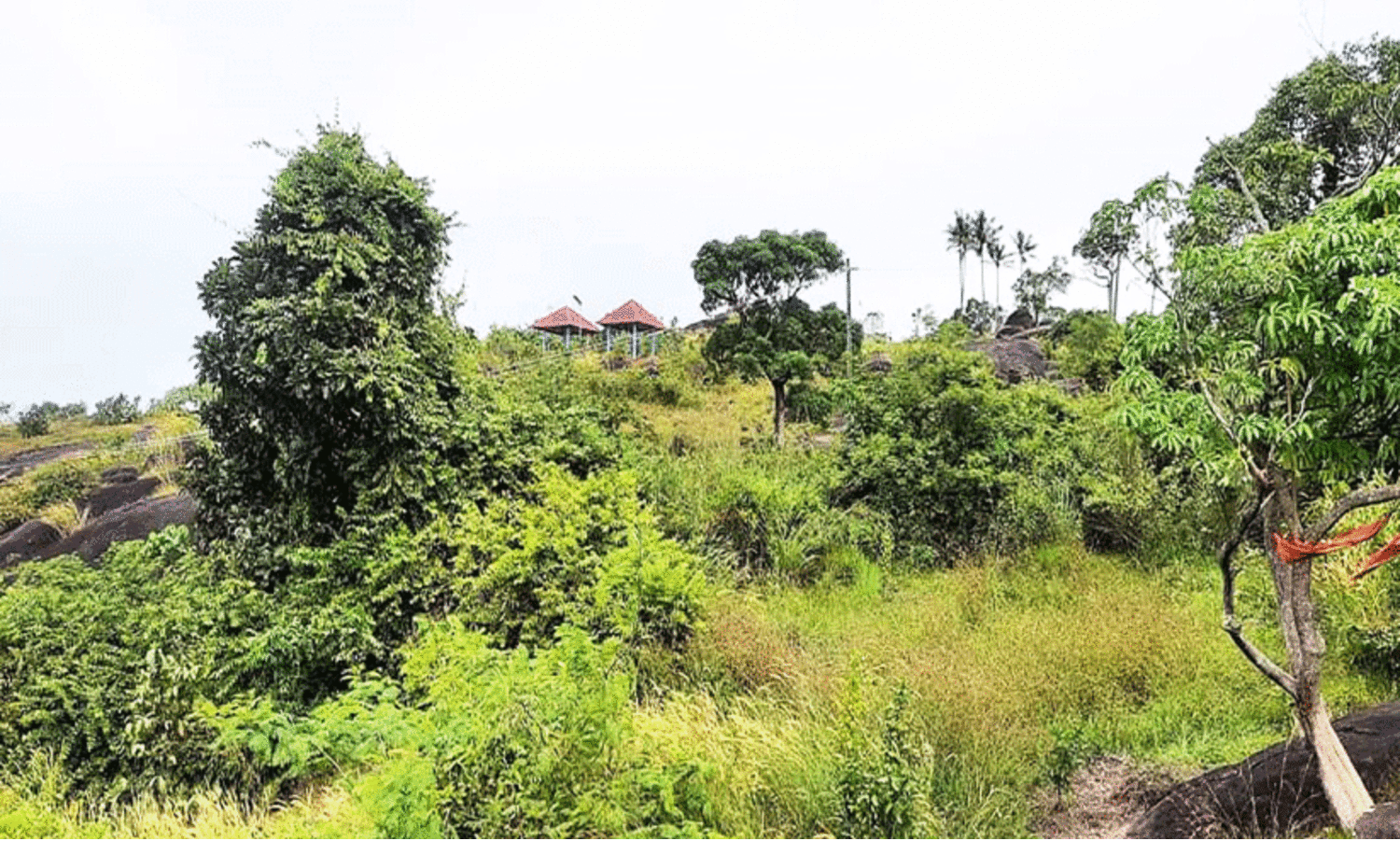 മരുതിമല: തീപിടിത്തവും ​ൈകയേറ്റവും ഇക്കോ ടൂറിസം പദ്ധതിക്ക് തിരിച്ചടി