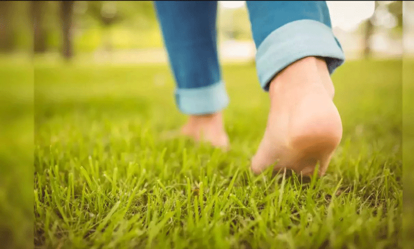ഇനി അൽപം പിന്നോട്ട് നടക്കാം ഇനി അൽപം പിന്നോട്ട് നടക്കാം
