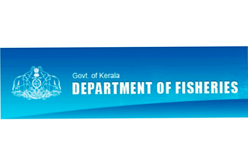 ആഴക്കടലിലേക്ക് കുതിക്കാൻ തടിബോട്ടുകൾ ഇരുമ്പിലേക്ക്