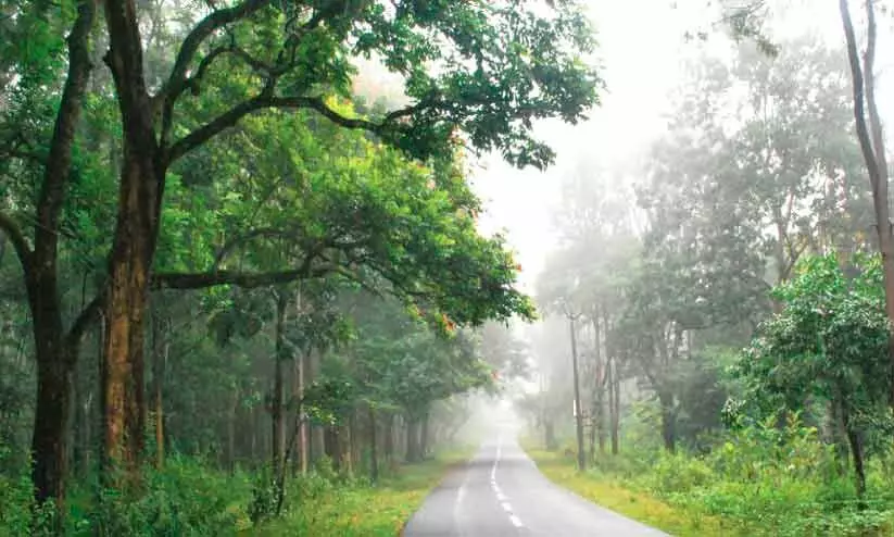നൊടിനേരം നൊടിനേരം