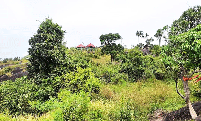 മരുതിമല: തീപിടിത്തവും ​ൈകയേറ്റവും ഇക്കോ ടൂറിസം പദ്ധതിക്ക് തിരിച്ചടി