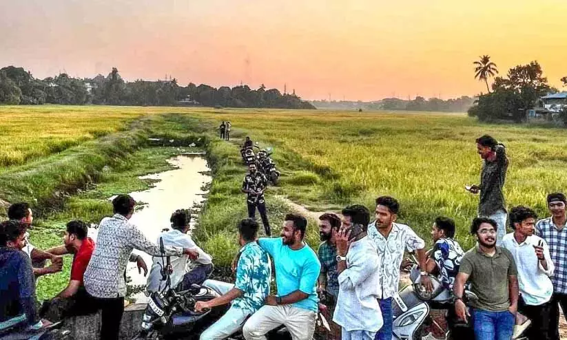 farm tourism farm tourism