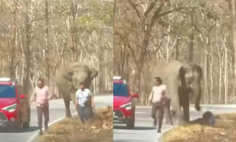 മുത്തങ്ങയിൽ കാറിൽ നിന്നിറങ്ങിയവർ കാട്ടാനയുടെ ആക്രമണത്തിൽനിന്ന് രക്ഷപ്പെട്ടത് തലനാരിഴക്ക് മുത്തങ്ങയിൽ കാറിൽ നിന്നിറങ്ങിയവർ കാട്ടാനയുടെ ആക്രമണത്തിൽനിന്ന് രക്ഷപ്പെട്ടത് തലനാരിഴക്ക്