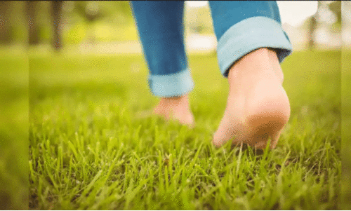 ഇ​നി അ​ൽ​പം പി​ന്നോ​ട്ട് ന​ട​ക്കാം