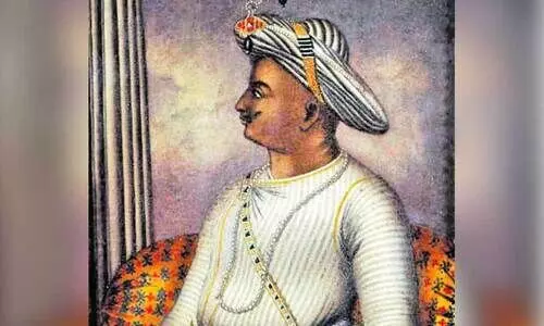 tipu
