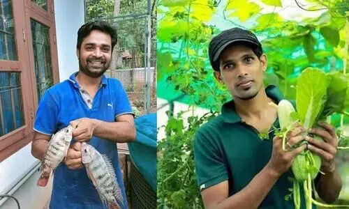 അക്വാപോണിക്സ്; ഇനി മണ്ണില്ലാതെ കൃഷി ചെയ്യാം