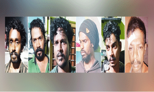 കഞ്ചാവ്​ വേട്ട: ആറംഗ സംഘം പിടിയിൽ