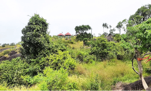 മരുതിമല: തീപിടിത്തവും ​ൈകയേറ്റവും ഇക്കോ ടൂറിസം പദ്ധതിക്ക് തിരിച്ചടി