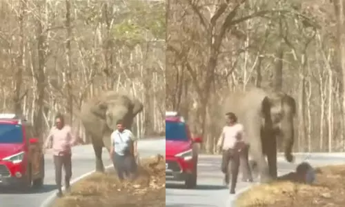 മുത്തങ്ങ‍യിൽ കാറിൽ നിന്നിറങ്ങിയവർ കാട്ടാനയുടെ ആക്രമണത്തിൽനിന്ന് രക്ഷപ്പെട്ടത് തലനാരിഴക്ക്