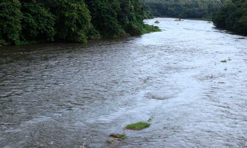 ജ ല മ ലി നീ ക ര ണം; പ മ്പാ ന ദി തീ ര ങ്ങ ളി ൽ ‍വ്യാ പ ക പ രി ശോ ധ ന ...