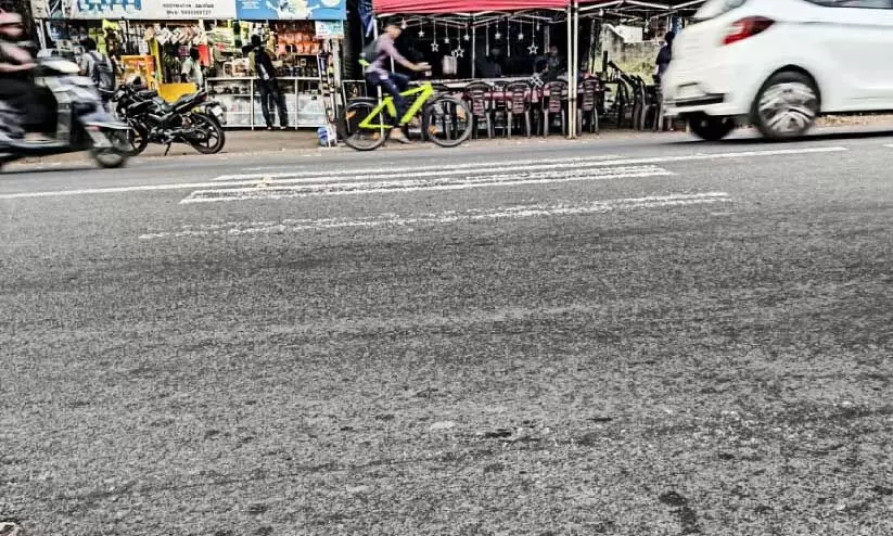 zebra line zebra line