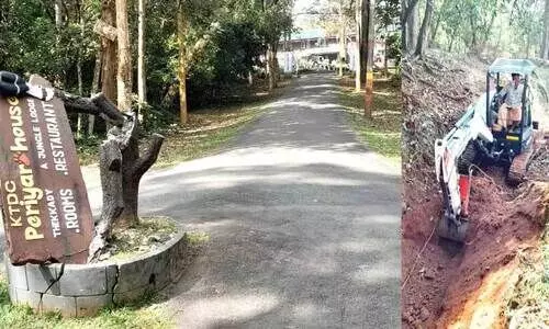 wild elephant menace