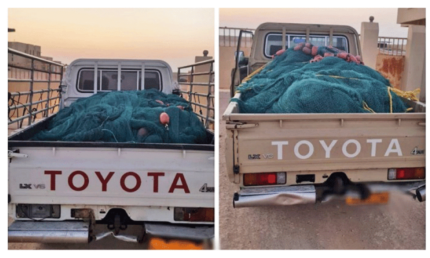 illegal fishing nets caught