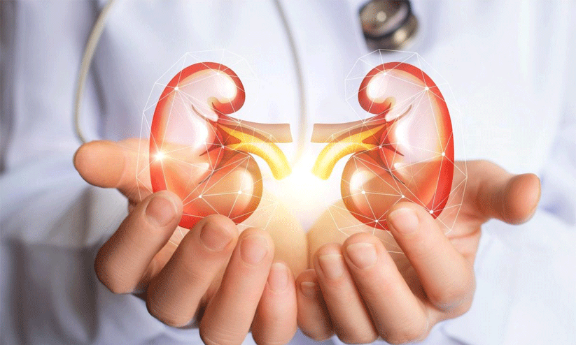 ഡയാലിസിസിന് ധനസഹായം; വാർഷിക പദ്ധതിയിൽ ഉൾപ്പെടുത്തിയത് 40 തദ്ദേശ സ്ഥാപനങ്ങൾ