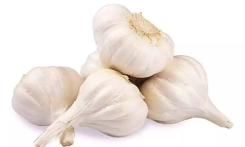 Garlic Garlic